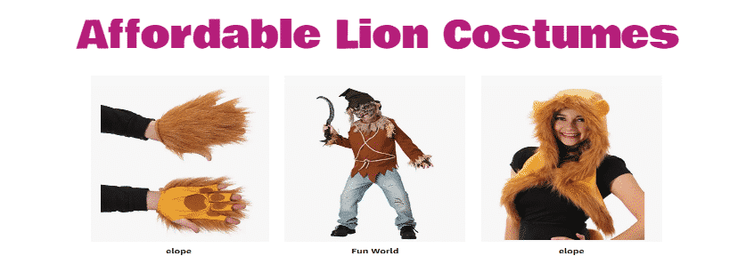 Affordable Lion Costumes